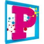 第13届印度国际塑料展 Plastivision India 2027