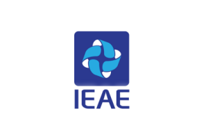 2026越南胡志明国际消费电子及家用电器展览会 IEAE